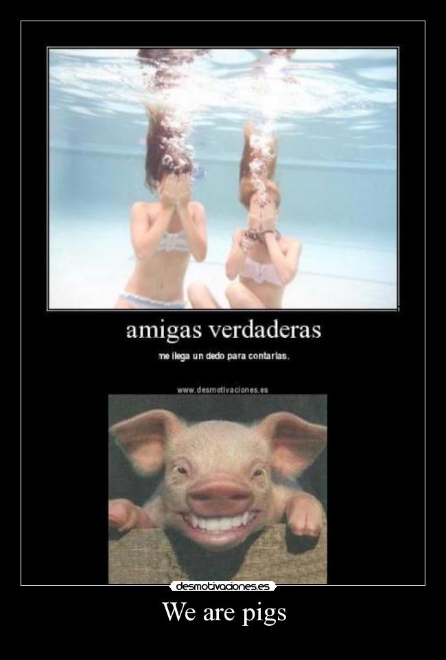 We are pigs -