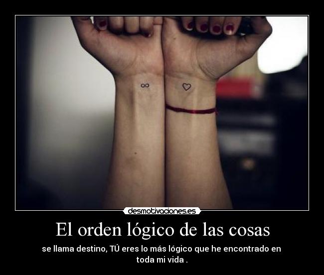 El orden lógico de las cosas -