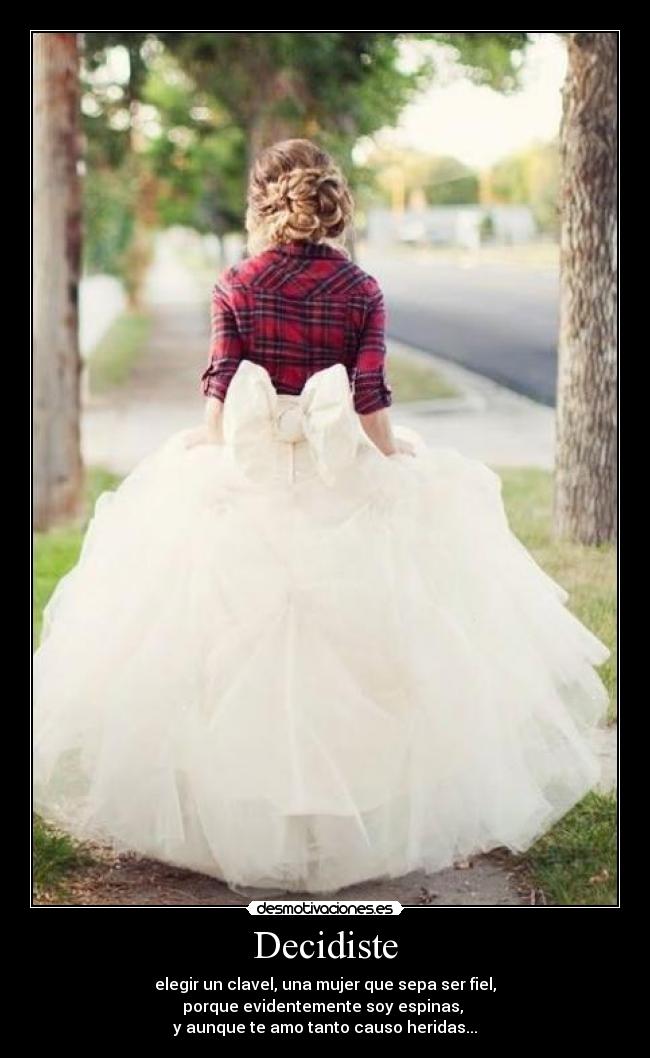 Decidiste - elegir un clavel, una mujer que sepa ser fiel,
porque evidentemente soy espinas,
y aunque te amo tanto causo heridas...