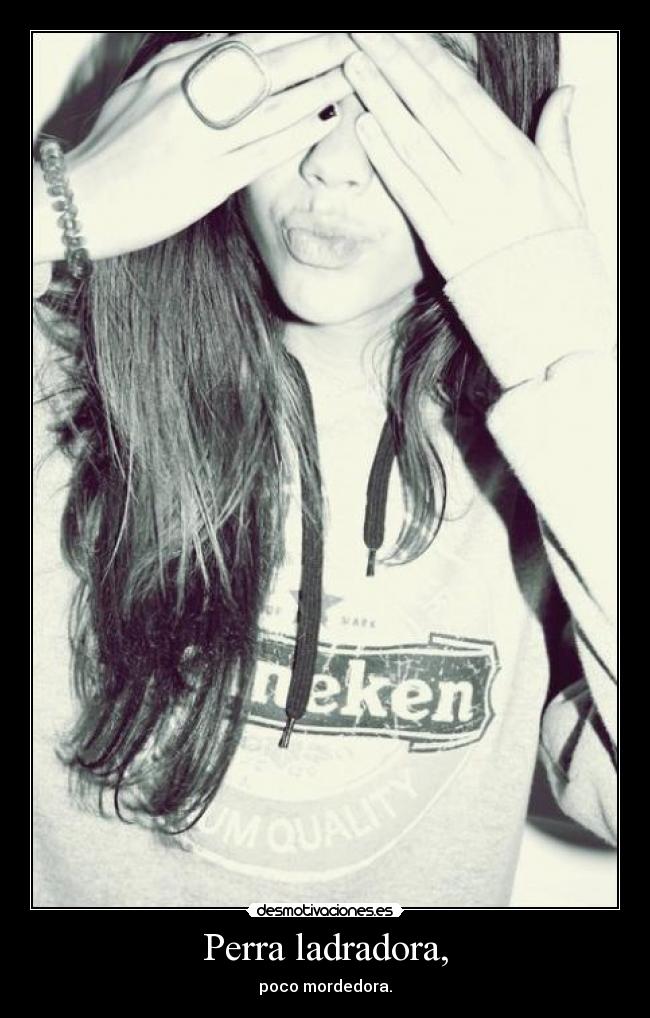Perra ladradora, - poco mordedora.