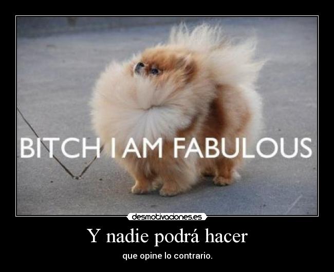 Y nadie podrá hacer - que opine lo contrario.