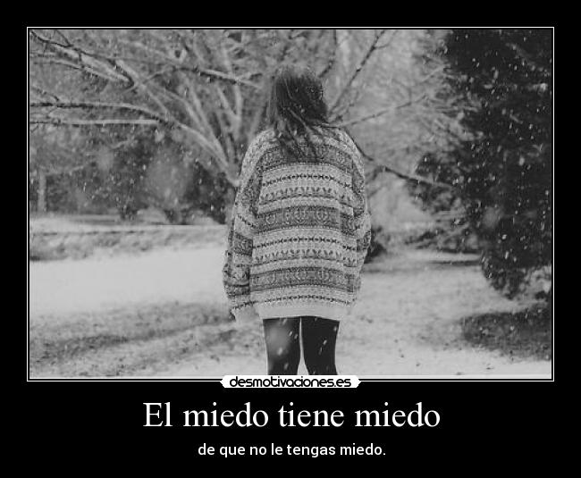 carteles miedo miedo toma que frase fase wiiiii anibalecter mitoooodo desmotivaciones