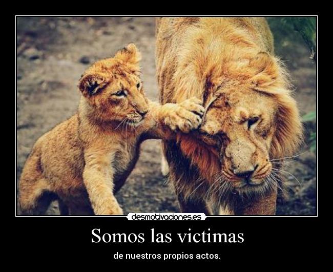 Somos las victimas -