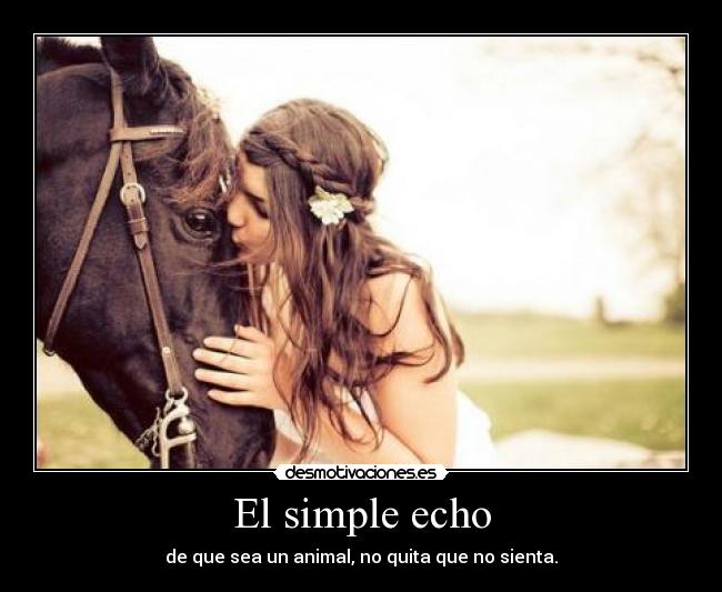 El simple echo - 