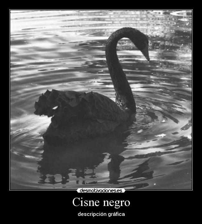 Cisne negro - 