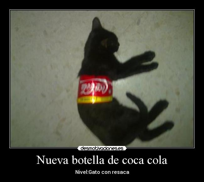 Nueva botella de coca cola -