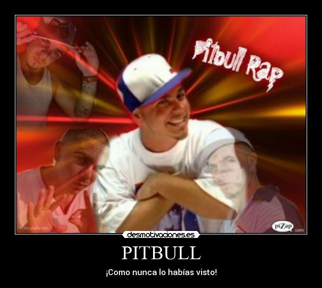 PITBULL - ¡Como nunca lo habías visto!