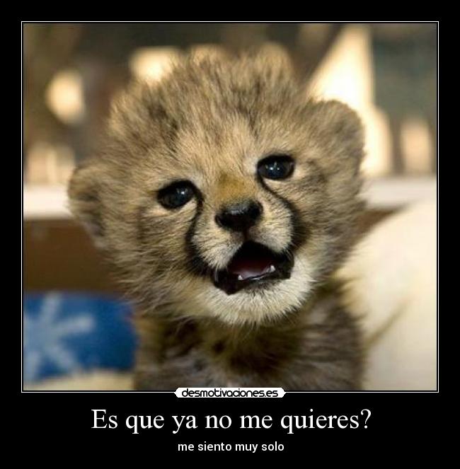 Es que ya no me quieres? - 