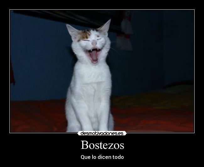 Bostezos - Que lo dicen todo