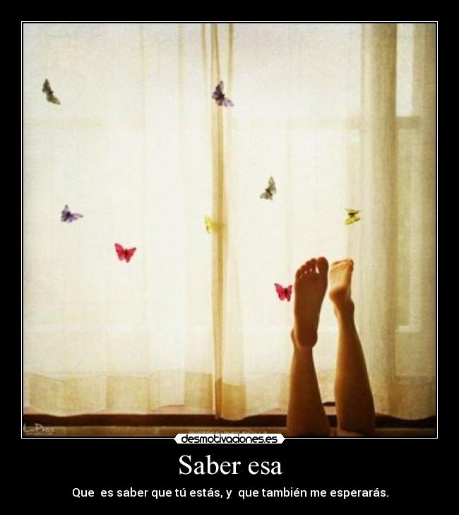 carteles lalala desmotivaciones