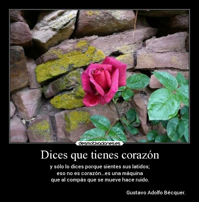 Dices que tienes corazón - 