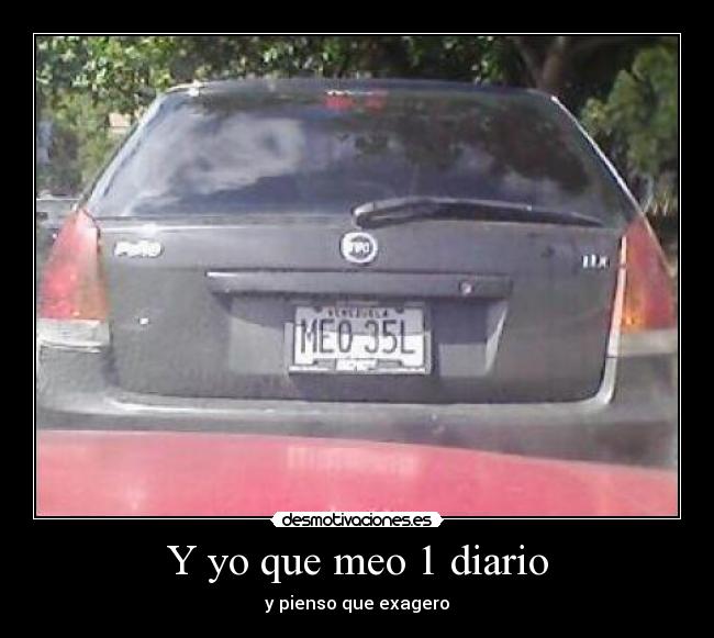 Y yo que meo 1 diario - y pienso que exagero