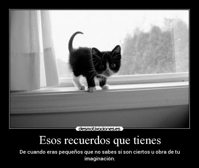 Esos recuerdos que tienes - 
