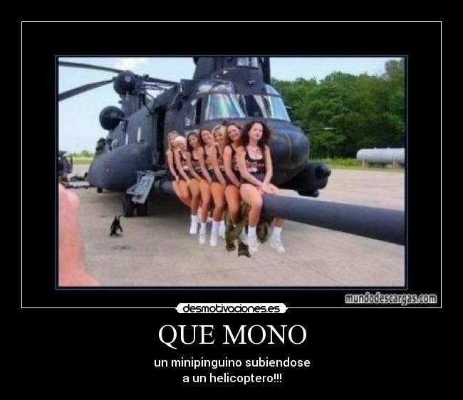 QUE MONO -