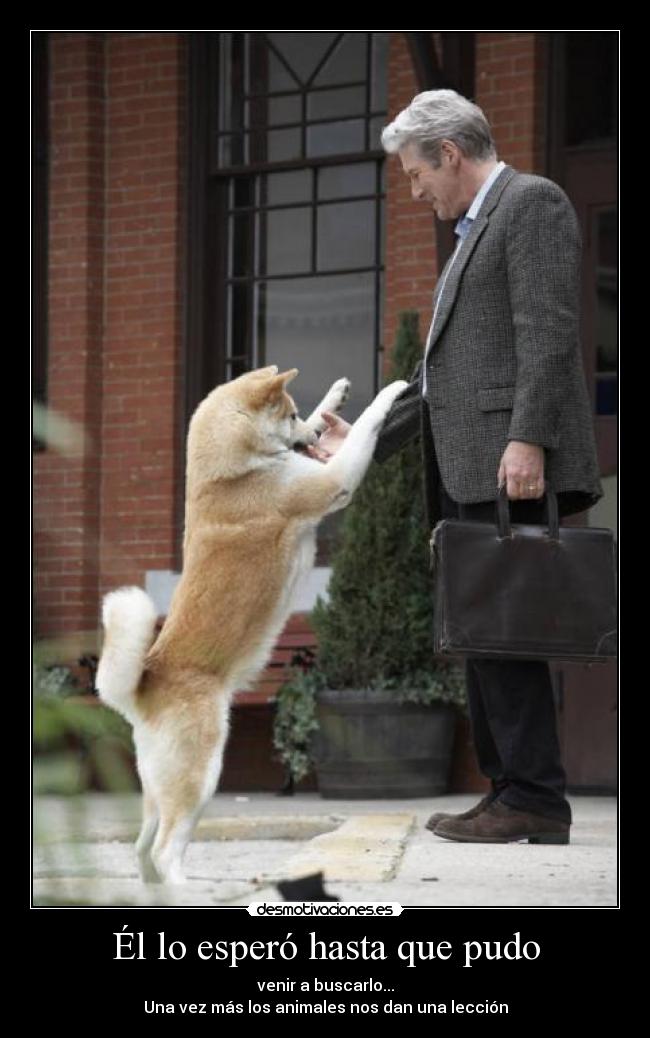 Él lo esperó hasta que pudo - 