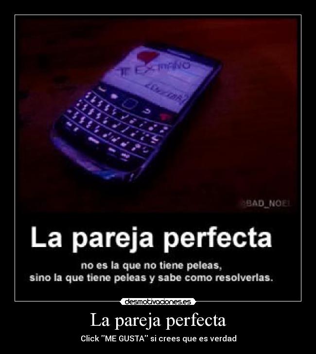 La pareja perfecta - 