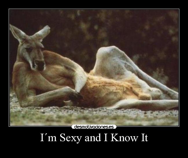 I´m Sexy and I Know It -