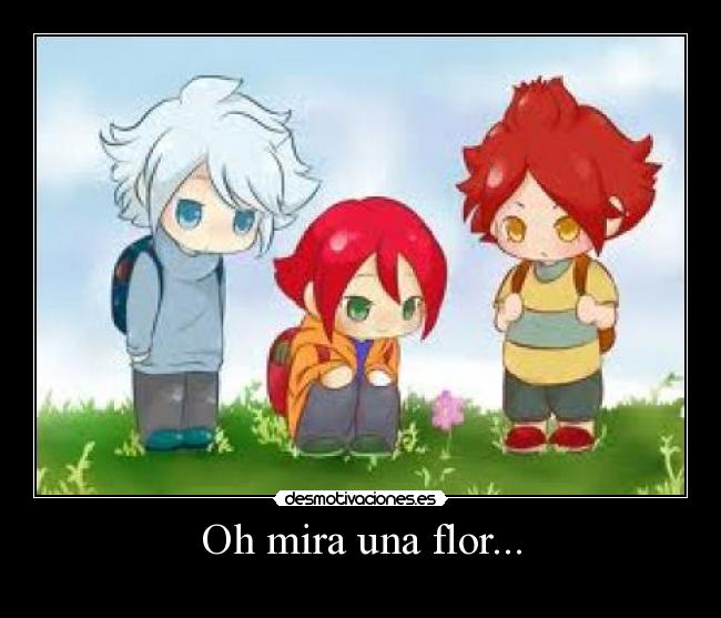 Oh mira una flor... - 