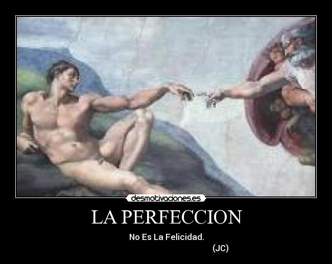 LA PERFECCION - No Es La Felicidad.
                                                     (JC)