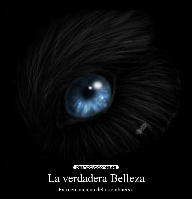La verdadera Belleza - 