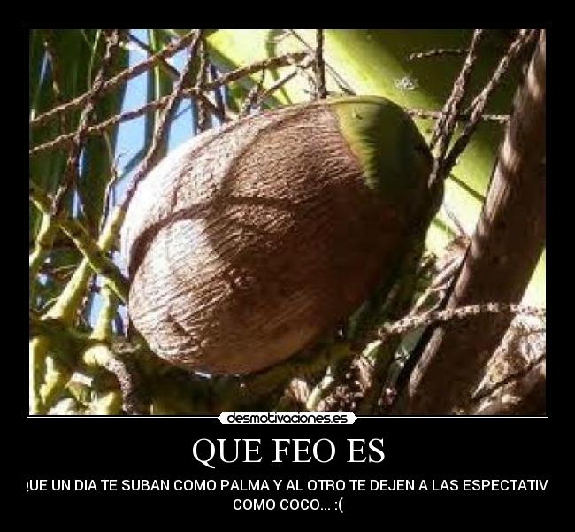 QUE FEO ES - QUE UN DIA TE SUBAN COMO PALMA Y AL OTRO TE DEJEN A LAS ESPECTATIVA
COMO COCO... :(