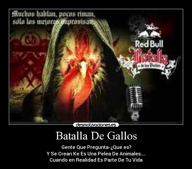 Batalla De Gallos - 