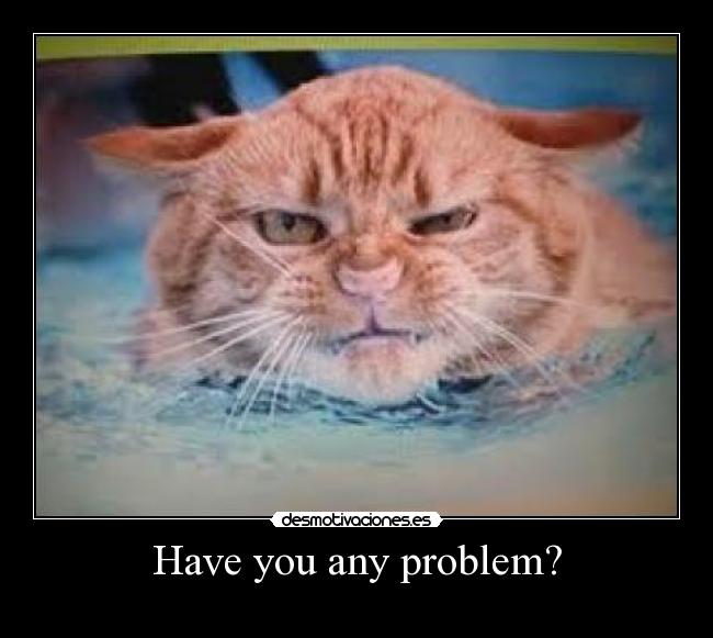 Have you any problem? -