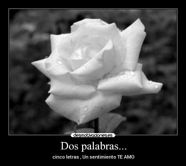 Dos palabras... - cinco letras , Un sentimiento TE AMO