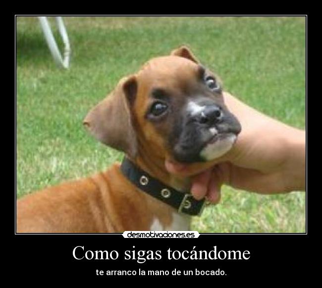 carteles miguel100one clanantifas kaf clanhoygan 0o0o0o0o0o0o0o0o0o0o0 challengeacceptedd pone burro desmotivaciones