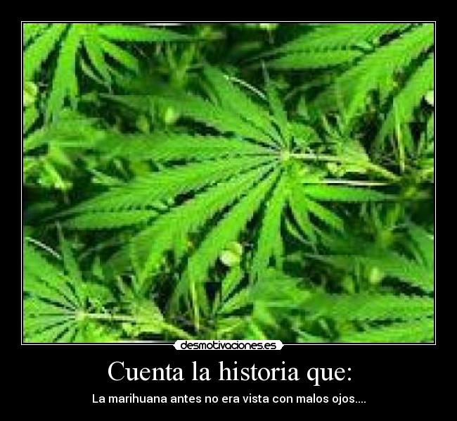 Cuenta la historia que: - La marihuana antes no era vista con malos ojos....