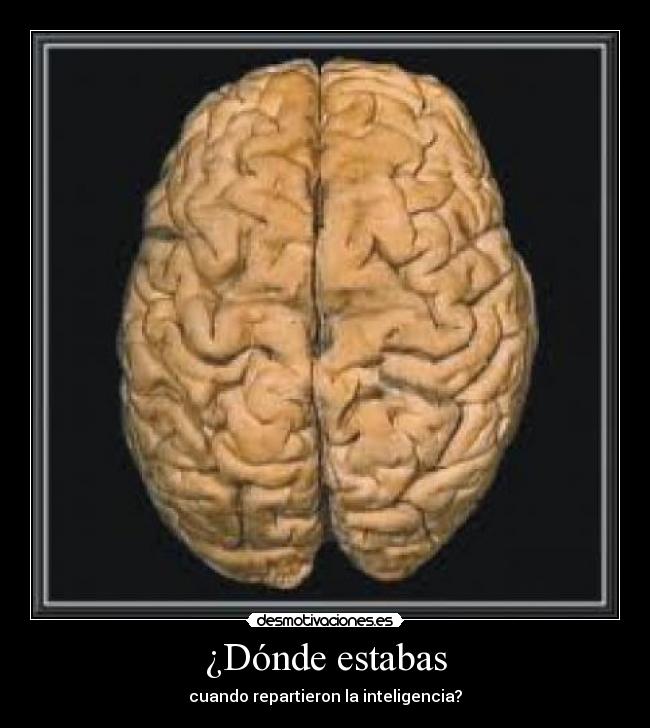 ¿Dónde estabas - cuando repartieron la inteligencia?