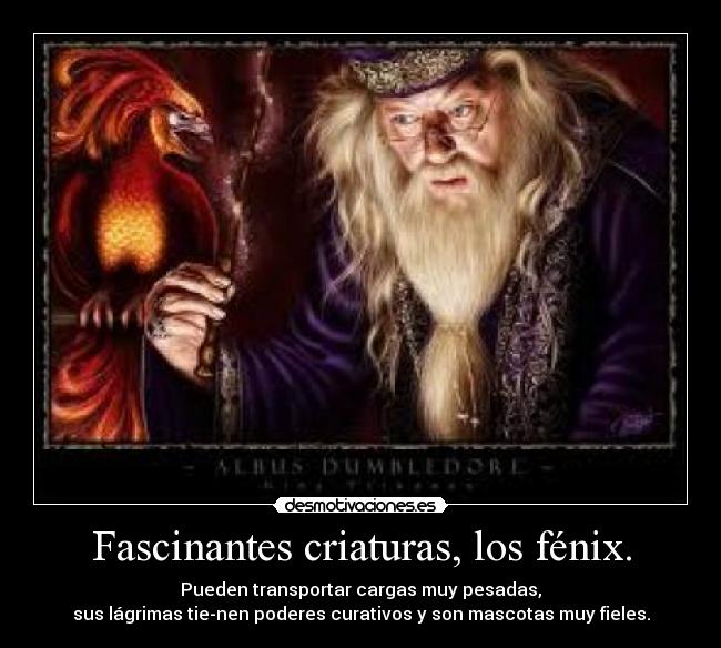 Fascinantes criaturas, los fénix. -