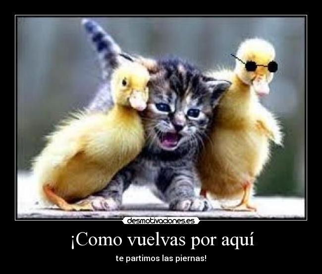 ¡Como vuelvas por aquí -