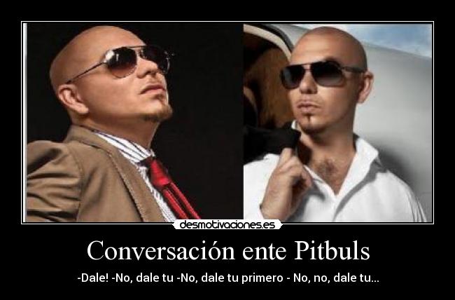 Conversación ente Pitbuls - -Dale! -No, dale tu -No, dale tu primero - No, no, dale tu...