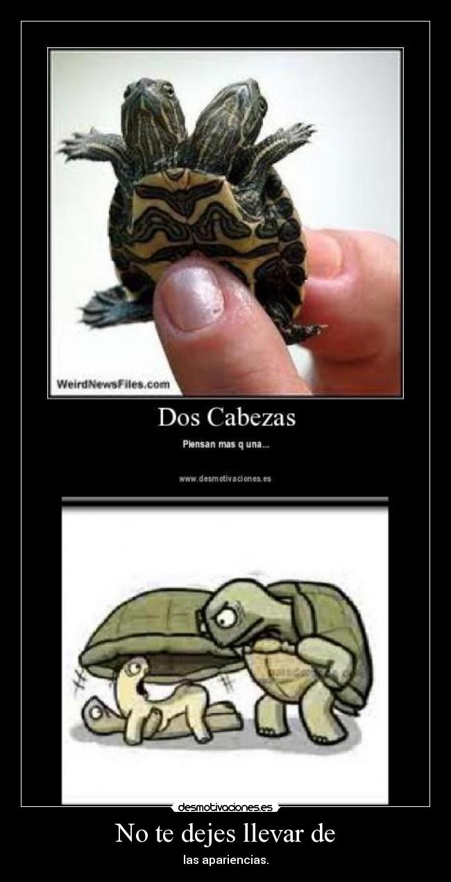 carteles vanessa95 vity35 damari mostruo4 desmotivaciones