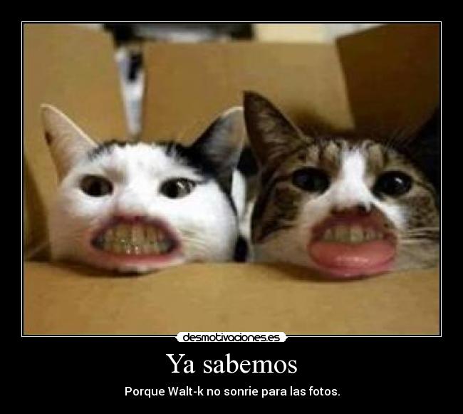 Ya sabemos - Porque Walt-k no sonrie para las fotos.