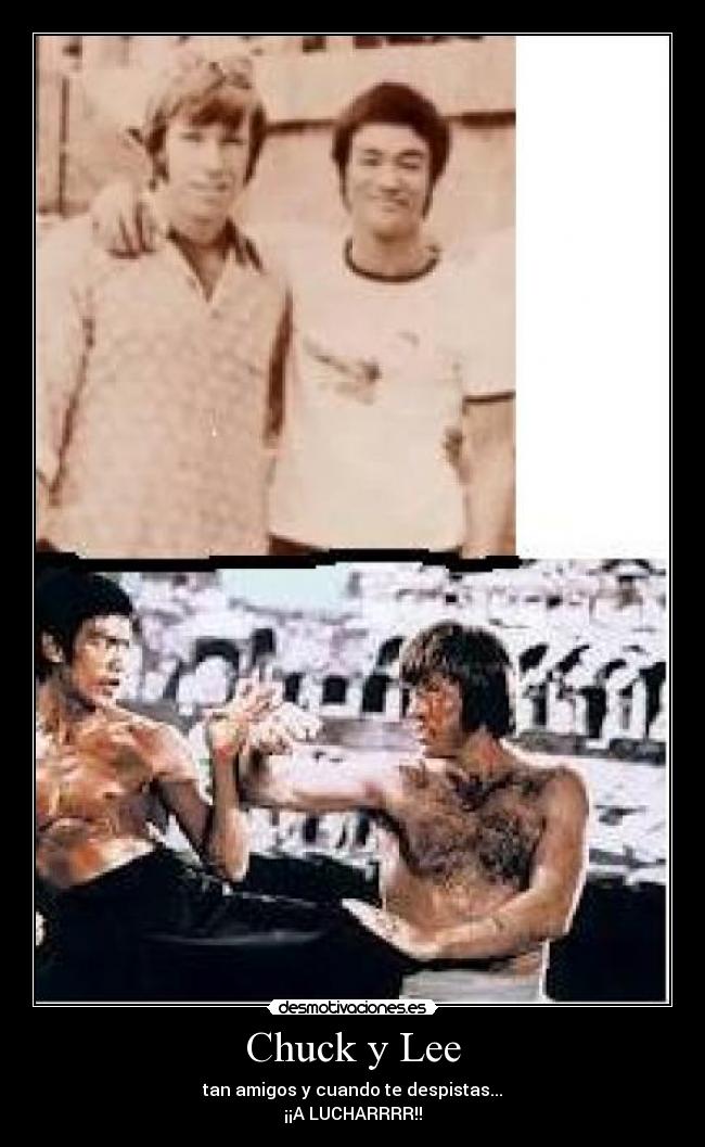 Chuck y Lee - tan amigos y cuando te despistas...
¡¡A LUCHARRRR!!