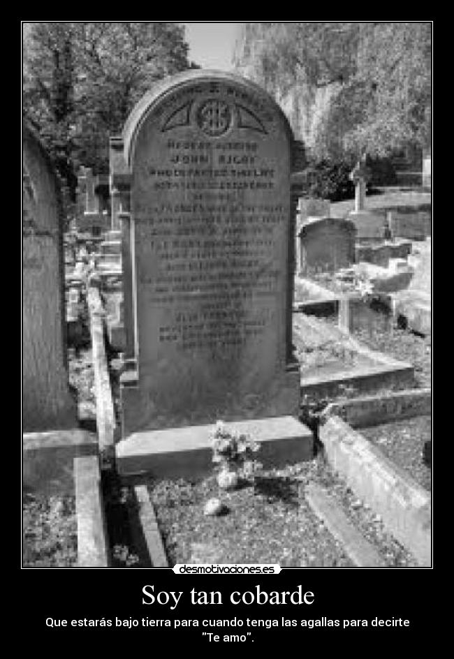 Soy tan cobarde - 