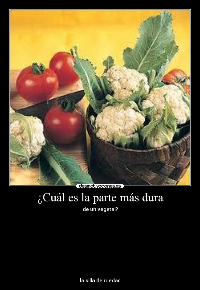 ¿Cuál es la parte más dura - de un vegetal?










la silla de ruedas