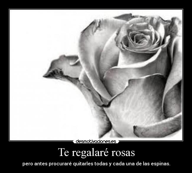 Te regalaré rosas - 