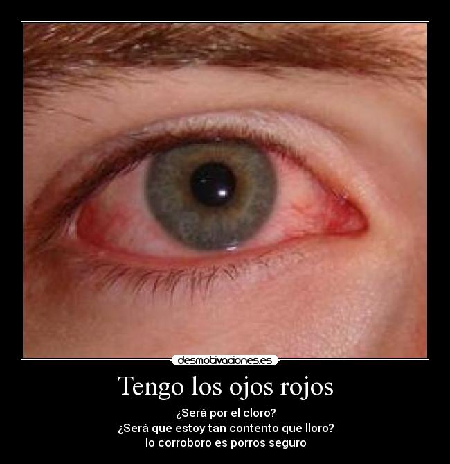 carteles zzz desmotivaciones