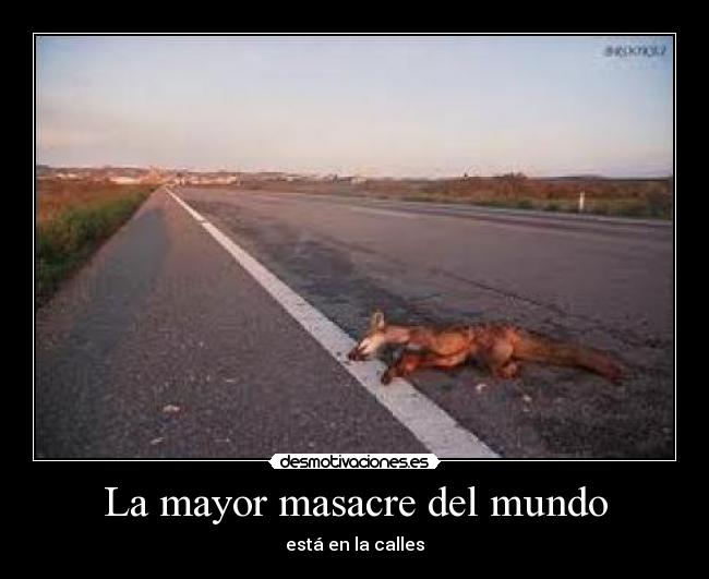 La mayor masacre del mundo - 