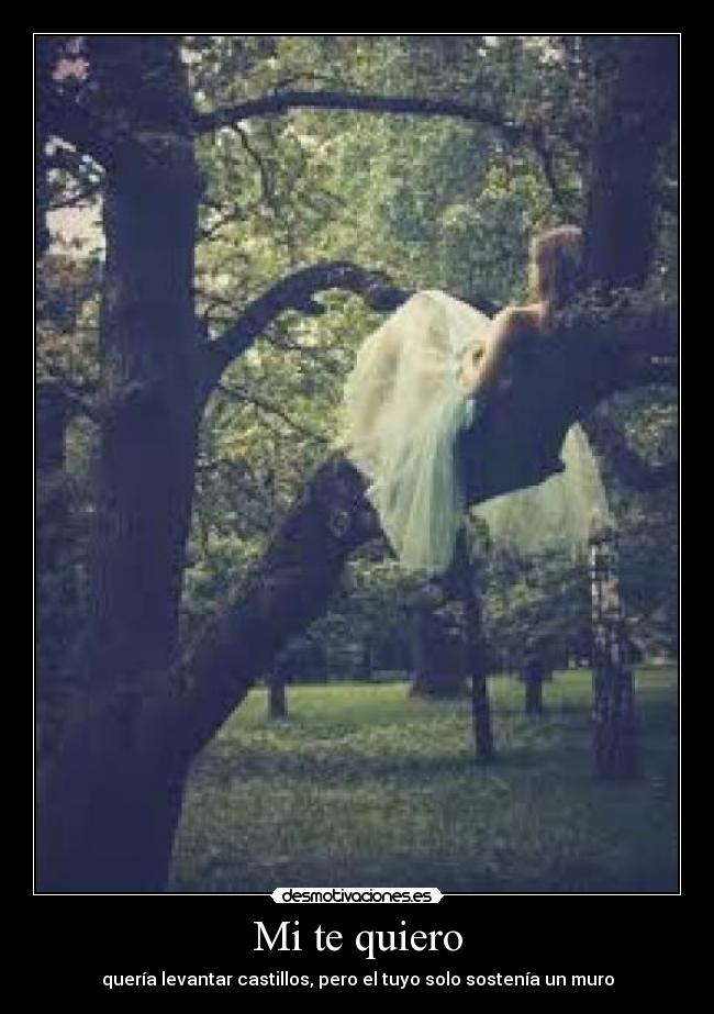 Mi te quiero - 