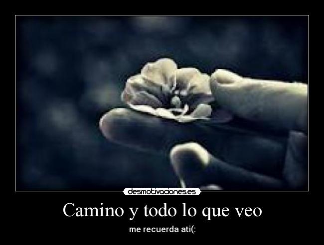 Camino y todo lo que veo - me recuerda ati(: