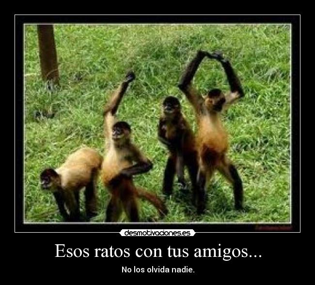 carteles amigos esos ratos con tus amigos desmotivaciones