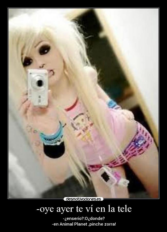 -oye ayer te ví en la tele - -¿enserio?:O¿donde?
-en Animal Planet ,pinche zorra!