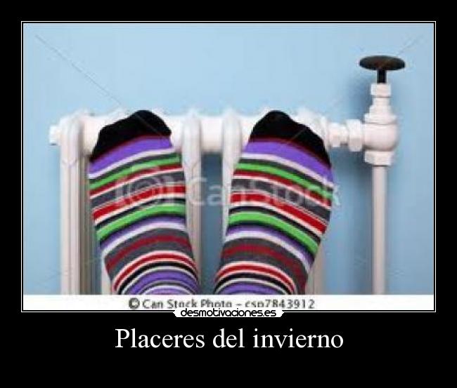 Placeres del invierno -