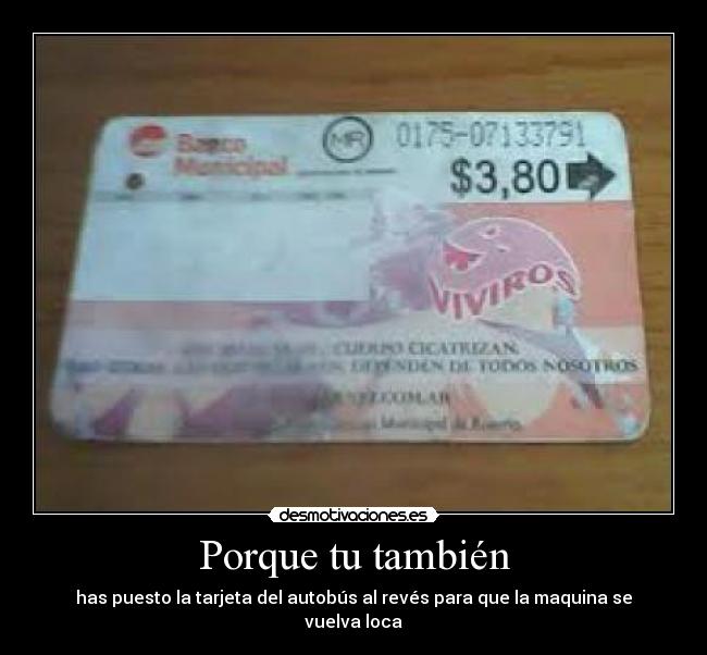 Porque tu también - has puesto la tarjeta del autobús al revés para que la maquina se vuelva loca
