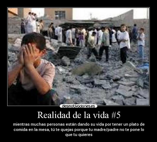 Realidad de la vida #5 -