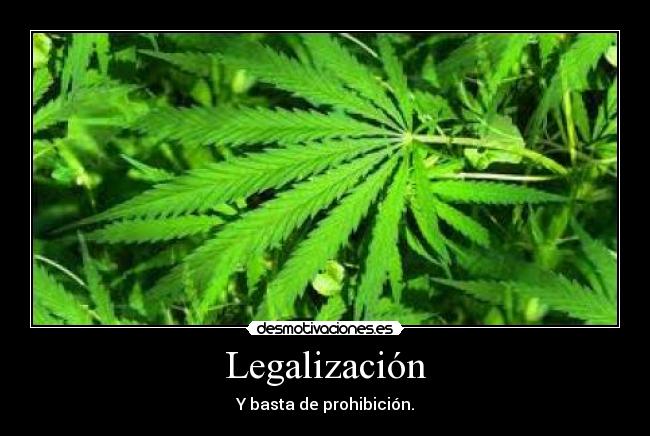 Legalización -